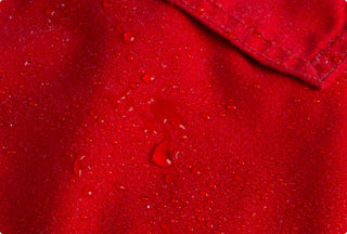 Water-repellent fabric with protective coating